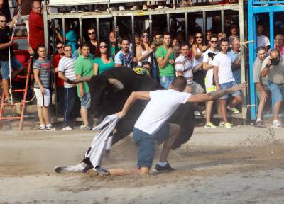 El toro de Casa Domecq de la Penya L'Alternativa, el mejor de la Misericrdia