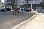 Nules pone el punto y final a la Fira Agrícola