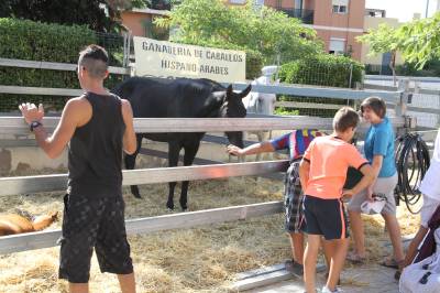 Fotografia /Galeria/2013/9/92635_49211/2_M1.jpg