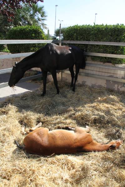 Fotografia /Galeria/2013/9/92635_49211/4_M1.jpg