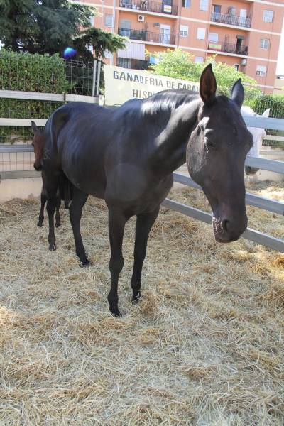 Fotografia /Galeria/2013/9/92635_49211/5_M1.jpg