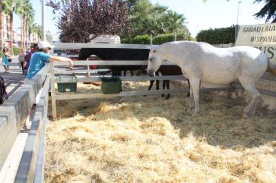 Fotografia /Galeria/2013/9/92635_49211/6_M1.jpg