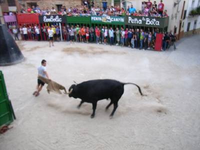 Fotografia /Galeria/2013/9/92987_49425/2_M1.jpg