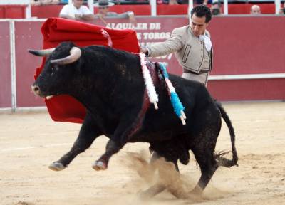 Fotografia /Galeria/2013/9/92998_49433/5_M1.jpg