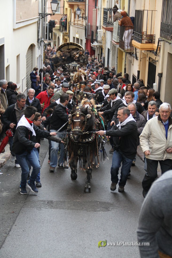 60.000 kilos de leña para la hoguera de Sant Antoni de Borriol