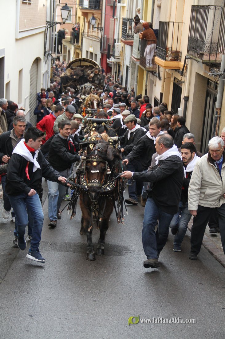 60.000 kilos de leña para la hoguera de Sant Antoni de Borriol
