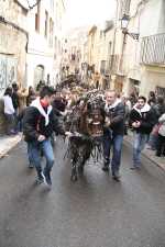 60.000 kilos de leña para la hoguera de Sant Antoni de Borriol