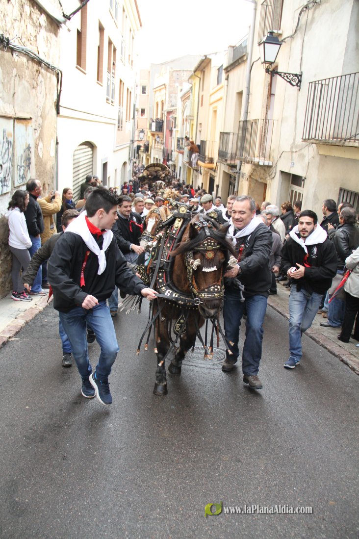 60.000 kilos de leña para la hoguera de Sant Antoni de Borriol