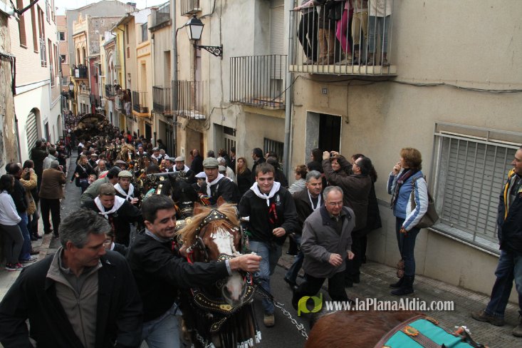 60.000 kilos de leña para la hoguera de Sant Antoni de Borriol