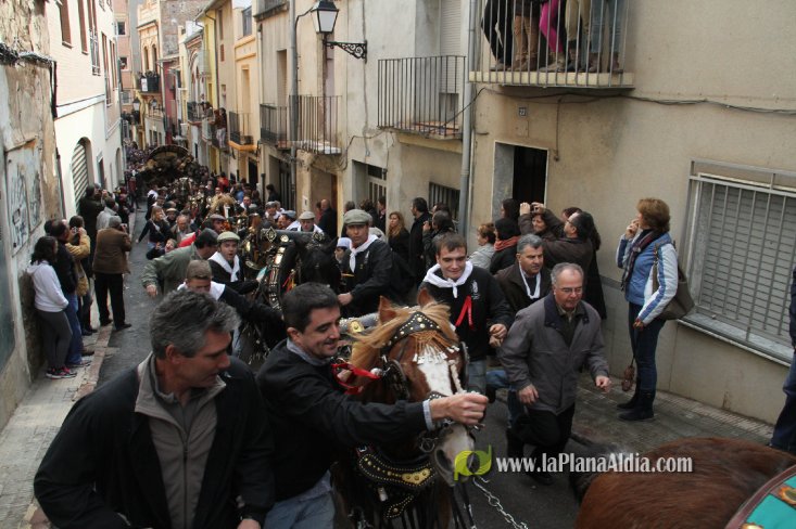 60.000 kilos de leña para la hoguera de Sant Antoni de Borriol