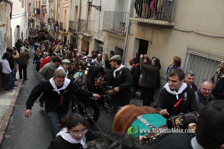 60.000 kilos de leña para la hoguera de Sant Antoni de Borriol