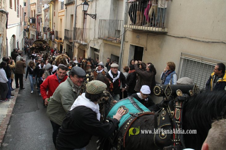 60.000 kilos de leña para la hoguera de Sant Antoni de Borriol