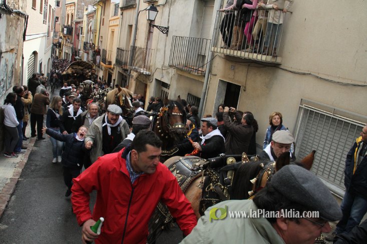 60.000 kilos de leña para la hoguera de Sant Antoni de Borriol