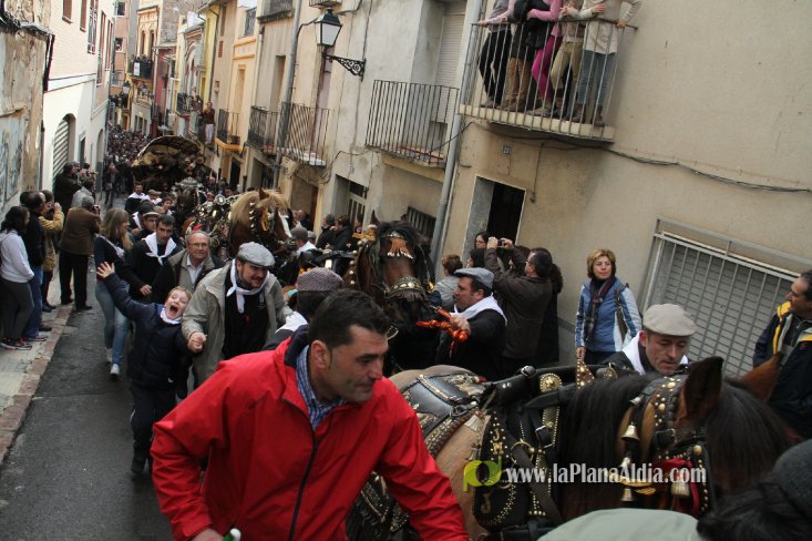 60.000 kilos de leña para la hoguera de Sant Antoni de Borriol