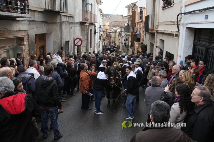 60.000 kilos de leña para la hoguera de Sant Antoni de Borriol