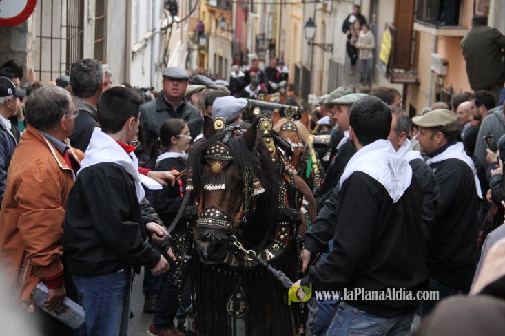 60.000 kilos de leña para la hoguera de Sant Antoni de Borriol