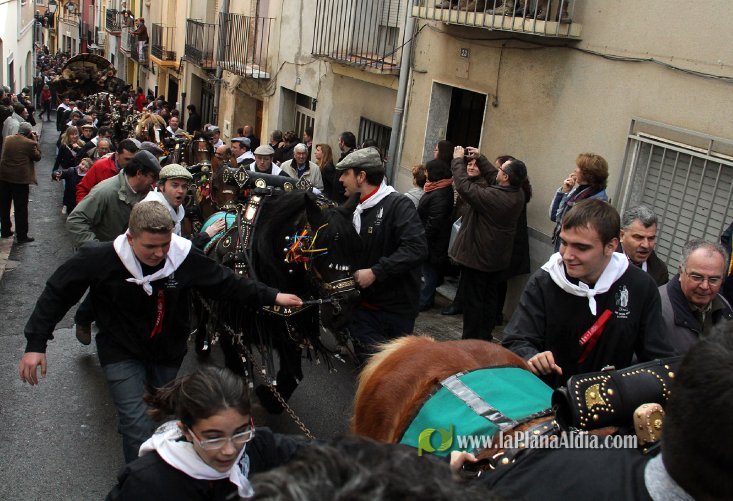 60.000 kilos de leña para la hoguera de Sant Antoni de Borriol