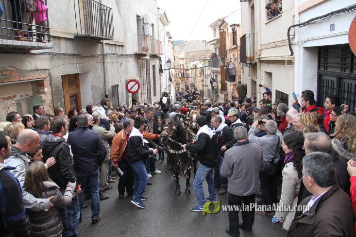 60.000 kilos de leña para la hoguera de Sant Antoni de Borriol