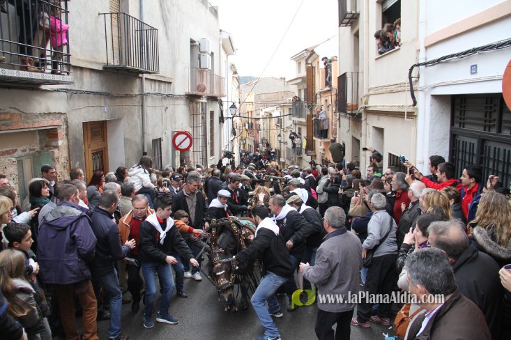 60.000 kilos de leña para la hoguera de Sant Antoni de Borriol