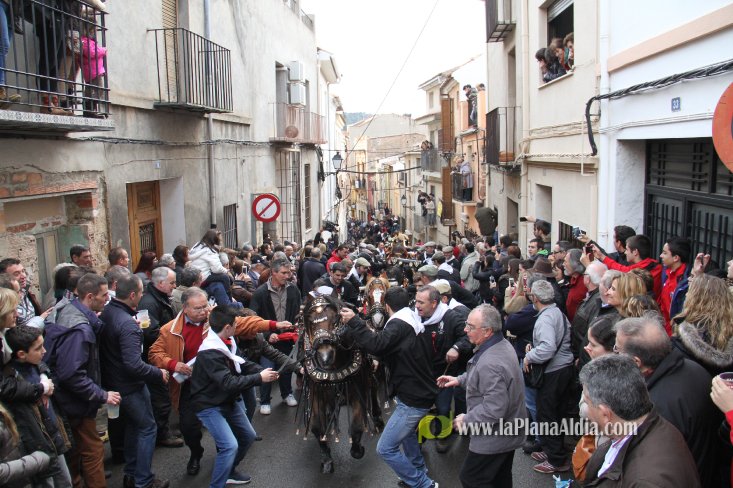 60.000 kilos de leña para la hoguera de Sant Antoni de Borriol