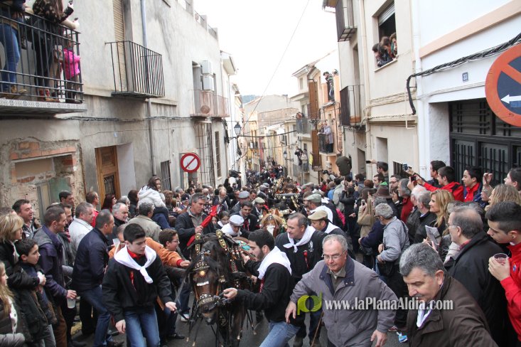 60.000 kilos de leña para la hoguera de Sant Antoni de Borriol