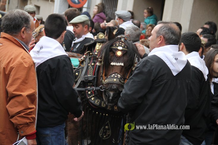 60.000 kilos de leña para la hoguera de Sant Antoni de Borriol