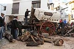 60.000 kilos de leña para la hoguera de Sant Antoni de Borriol