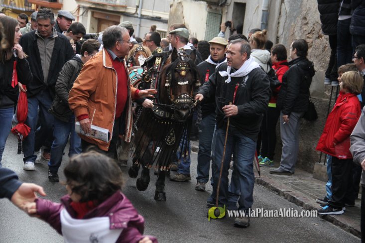 60.000 kilos de leña para la hoguera de Sant Antoni de Borriol