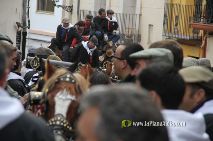 60.000 kilos de leña para la hoguera de Sant Antoni de Borriol
