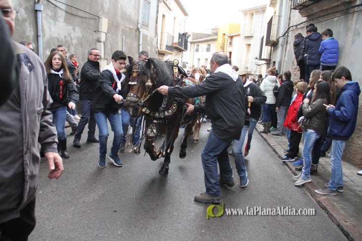 60.000 kilos de leña para la hoguera de Sant Antoni de Borriol