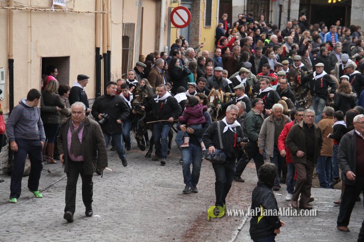 60.000 kilos de leña para la hoguera de Sant Antoni de Borriol