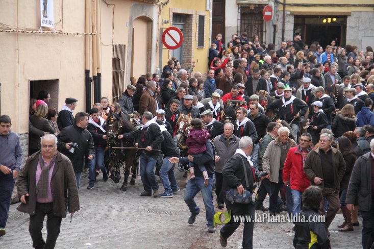 60.000 kilos de leña para la hoguera de Sant Antoni de Borriol