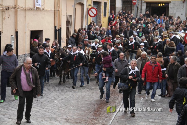 60.000 kilos de leña para la hoguera de Sant Antoni de Borriol