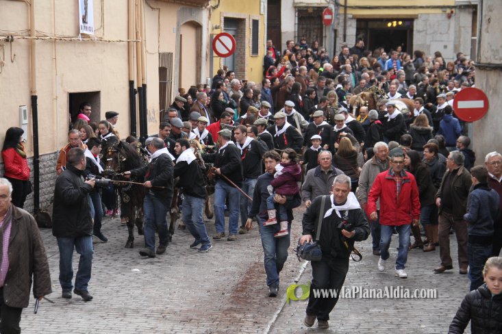 60.000 kilos de leña para la hoguera de Sant Antoni de Borriol