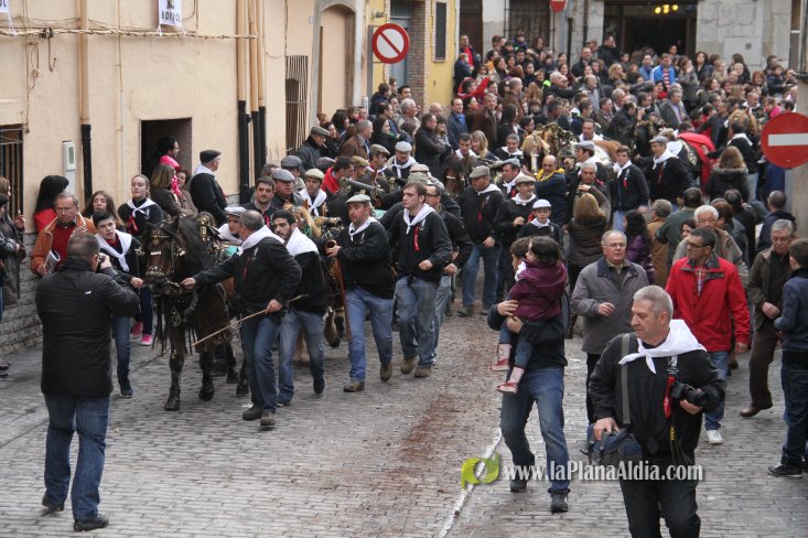 60.000 kilos de leña para la hoguera de Sant Antoni de Borriol