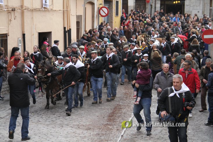 60.000 kilos de leña para la hoguera de Sant Antoni de Borriol