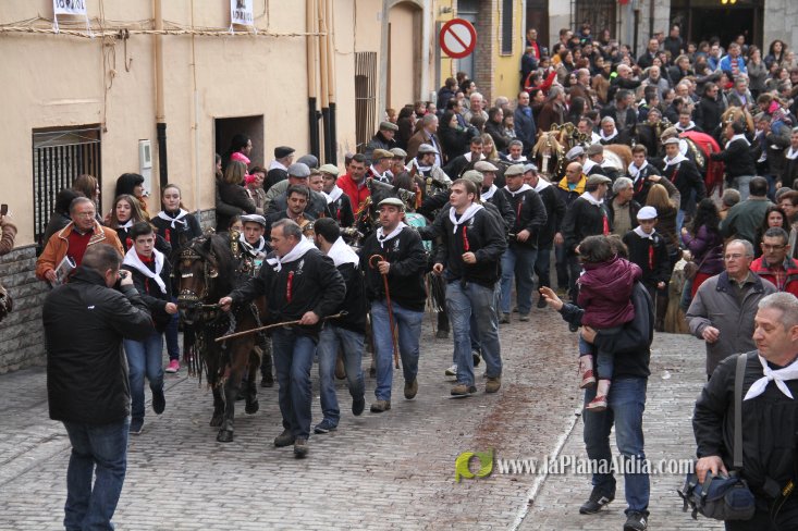 60.000 kilos de leña para la hoguera de Sant Antoni de Borriol