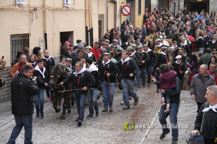 60.000 kilos de leña para la hoguera de Sant Antoni de Borriol