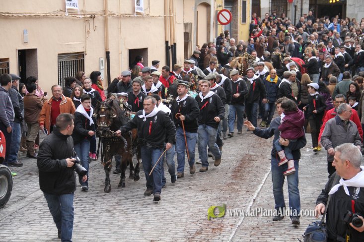60.000 kilos de leña para la hoguera de Sant Antoni de Borriol