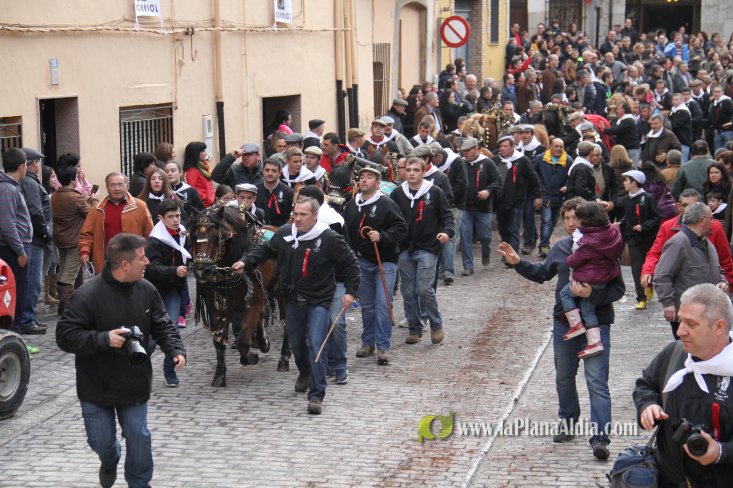 60.000 kilos de leña para la hoguera de Sant Antoni de Borriol