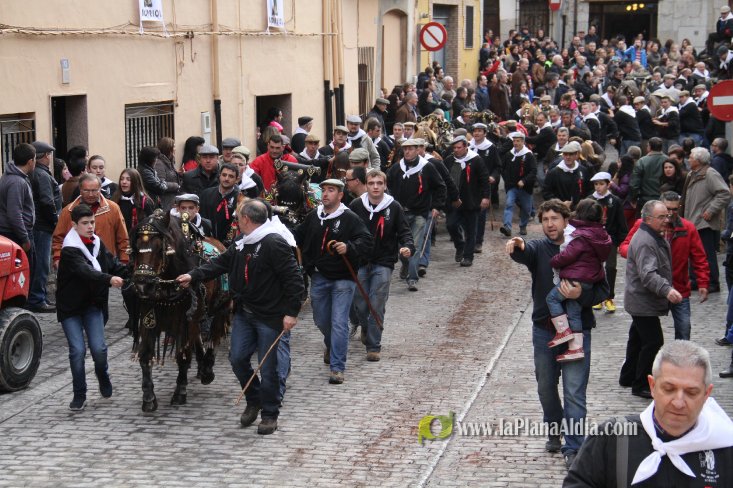 60.000 kilos de leña para la hoguera de Sant Antoni de Borriol