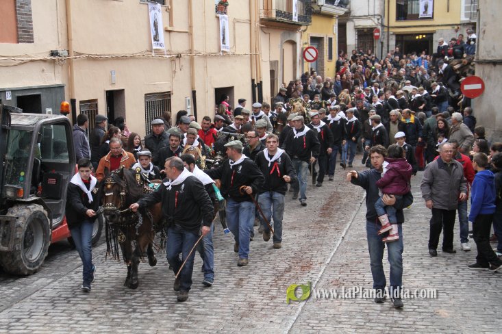 60.000 kilos de leña para la hoguera de Sant Antoni de Borriol