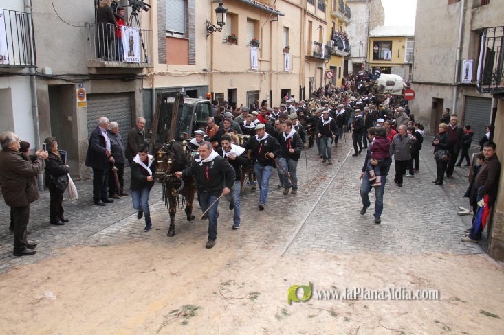 60.000 kilos de leña para la hoguera de Sant Antoni de Borriol