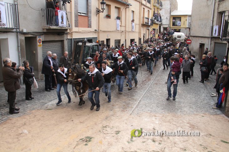 60.000 kilos de leña para la hoguera de Sant Antoni de Borriol