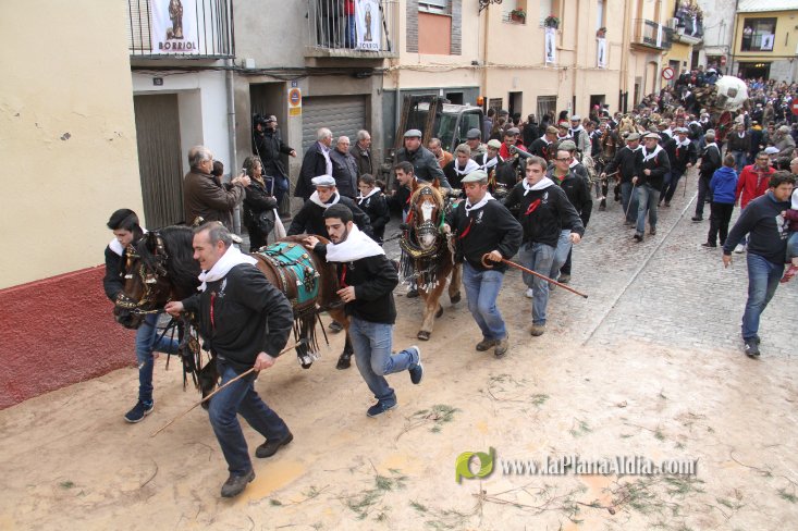 60.000 kilos de leña para la hoguera de Sant Antoni de Borriol
