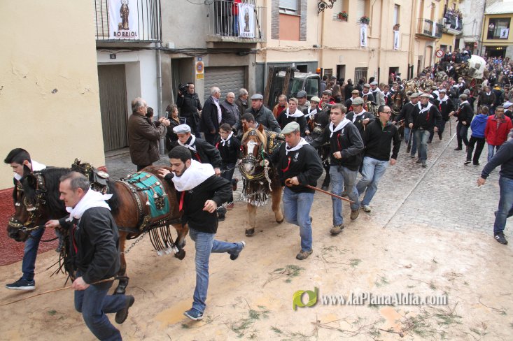 60.000 kilos de leña para la hoguera de Sant Antoni de Borriol