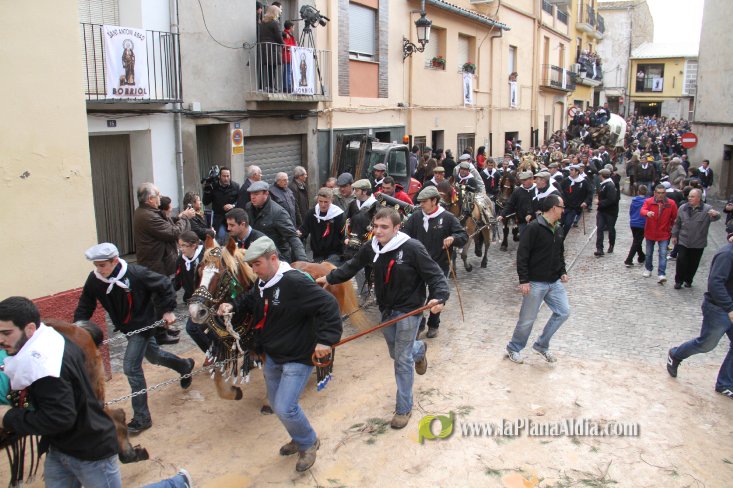 60.000 kilos de leña para la hoguera de Sant Antoni de Borriol