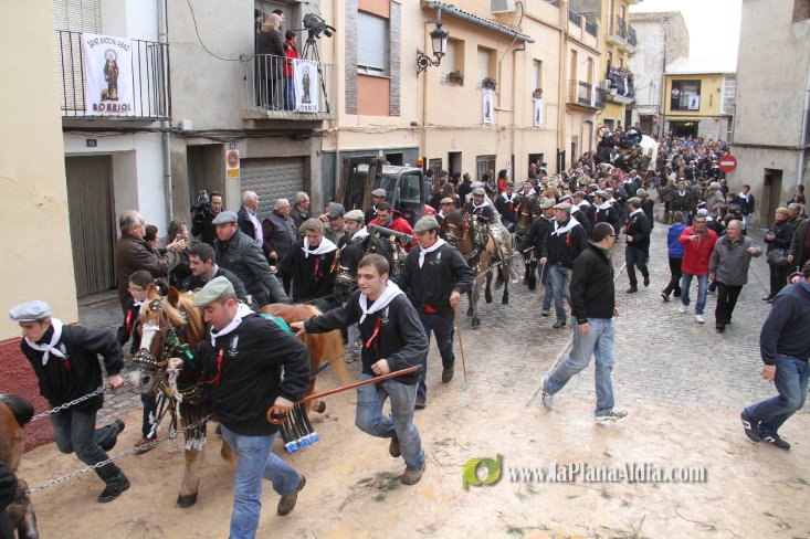 60.000 kilos de leña para la hoguera de Sant Antoni de Borriol