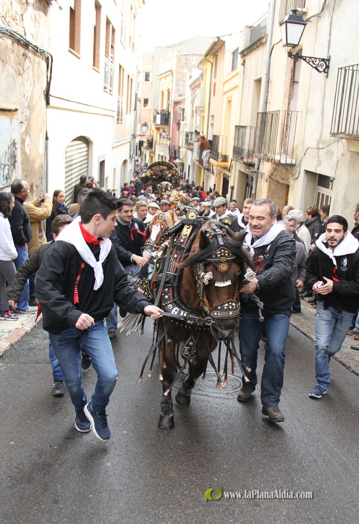 60.000 kilos de leña para la hoguera de Sant Antoni de Borriol