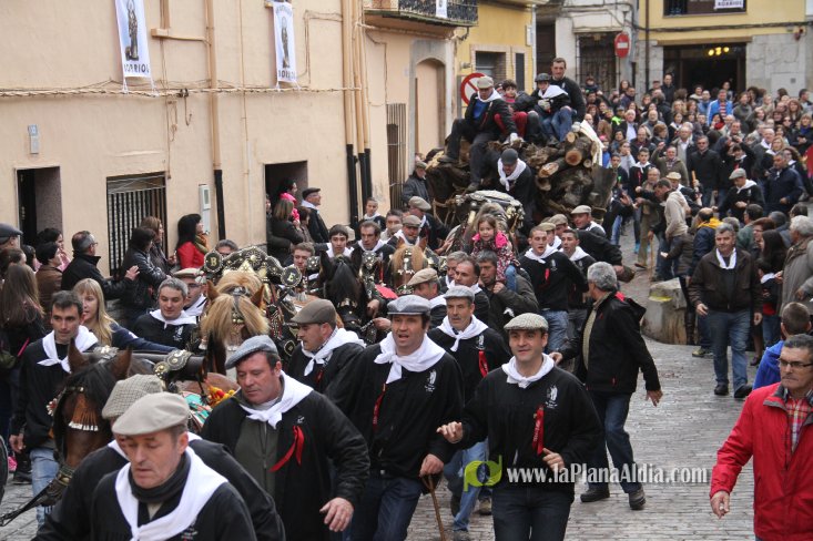 60.000 kilos de leña para la hoguera de Sant Antoni de Borriol